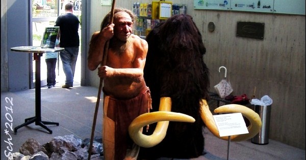 Музей Неандертальца возле Дюссельдорфа