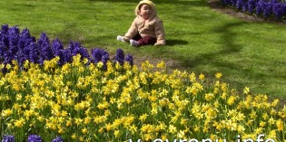 Поездка к тюльпанам в парк Кейкенхоф