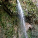 Водопад в заповеднике Эн Геди 